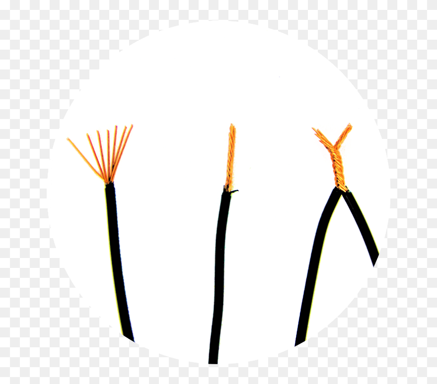 Butterfly Twist The 2 Dog Fence Wires Circle Clipart (5307384