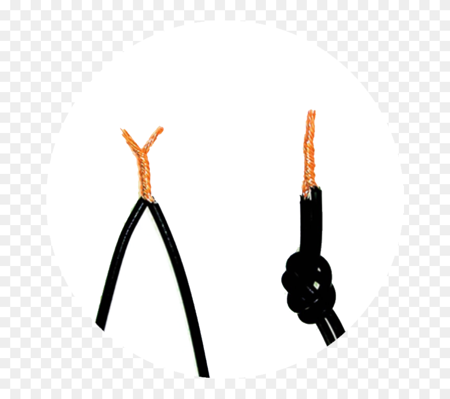 The Secret - Illustration Clipart