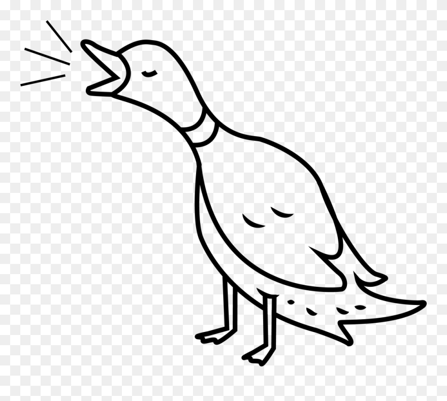 Duck Club Clipart