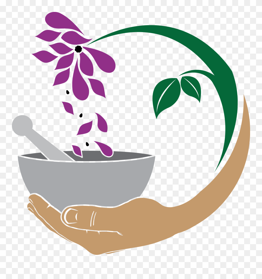 Herbs Clipart Circle - Illustration - Png Download