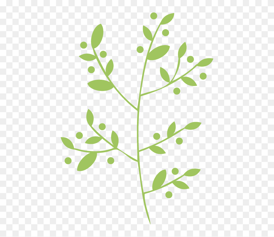 Leaf Herb Vector Png Clipart
