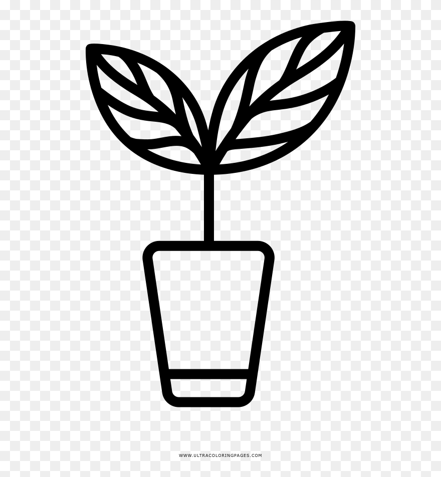 Transparent Herbs Clip Art - Timpani Outline - Png Download