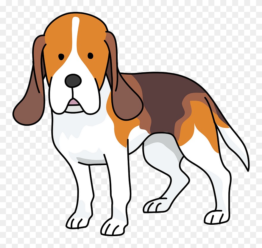 Beagle Dog Clipart - Beagle-harrier - Png Download
