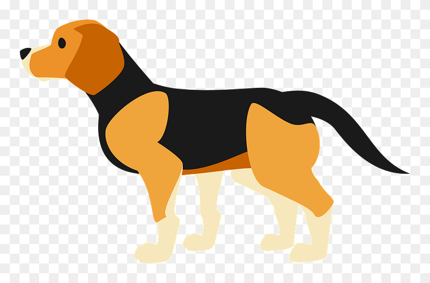 Beagle Dog Clipart - Harrier - Png Download