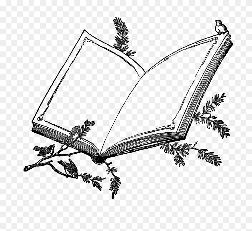 Book Frame Download Illustration - Clip Art Designs Frame Books - Png Download