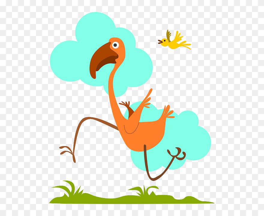 Green, Blue, Yellow, Orange, Birds, Run, Beak, Birdie - Run Clipart - Png Download