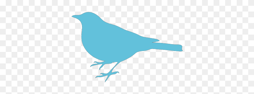 Bird Silhouette Png Clip Art - Mockingbird Black And White Transparent Png