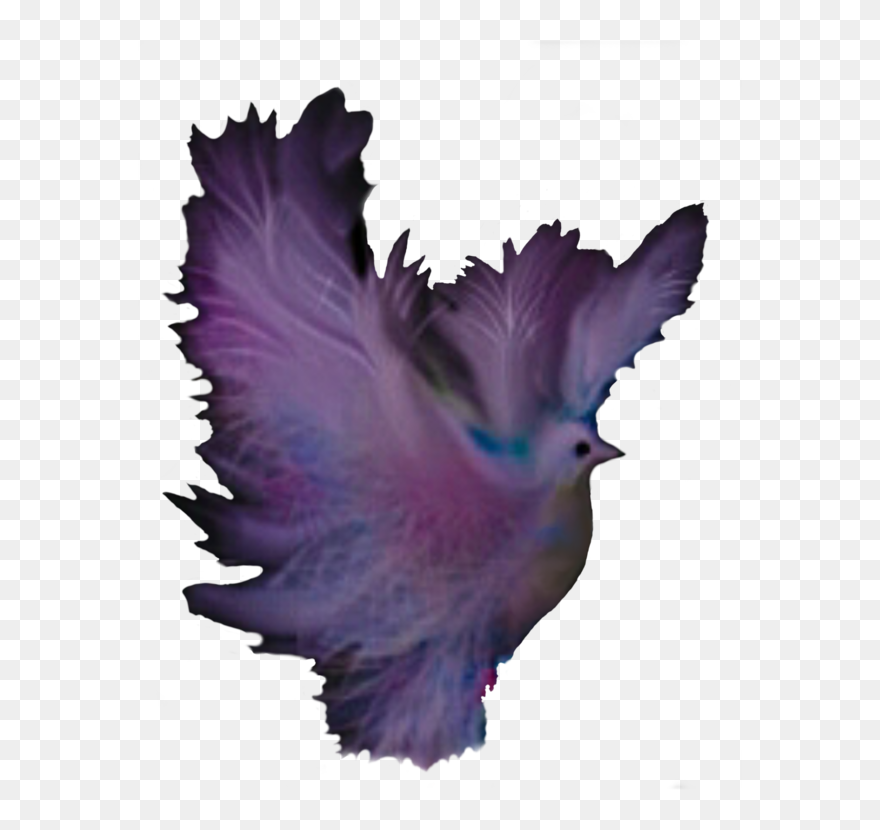 Purple,wing,tail - Portable Network Graphics Clipart