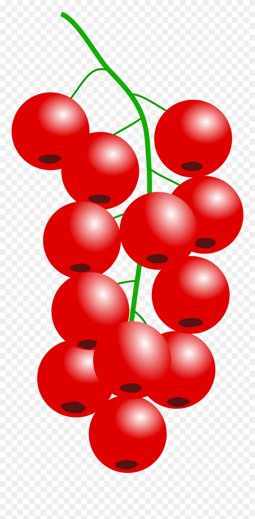 Cranberry Vector Single - Clipart Cranberry - Png Download