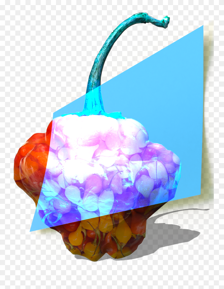 Clip Art - Png Download