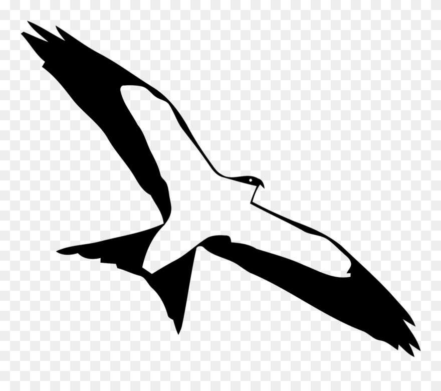 Free Living Animals - Portable Network Graphics Clipart