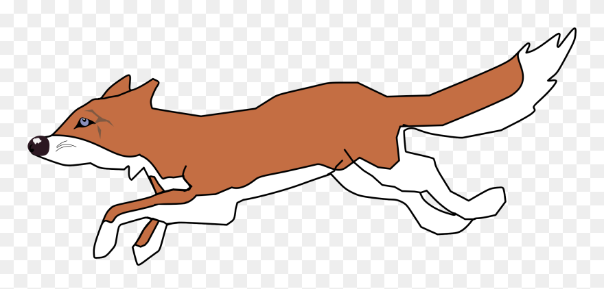 Line Art,wildlife,snout - Clip Art - Png Download