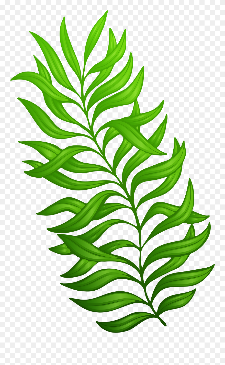 Peas Clipart Plant Producer, Peas Plant Producer Transparent - Plant Clip Art Png