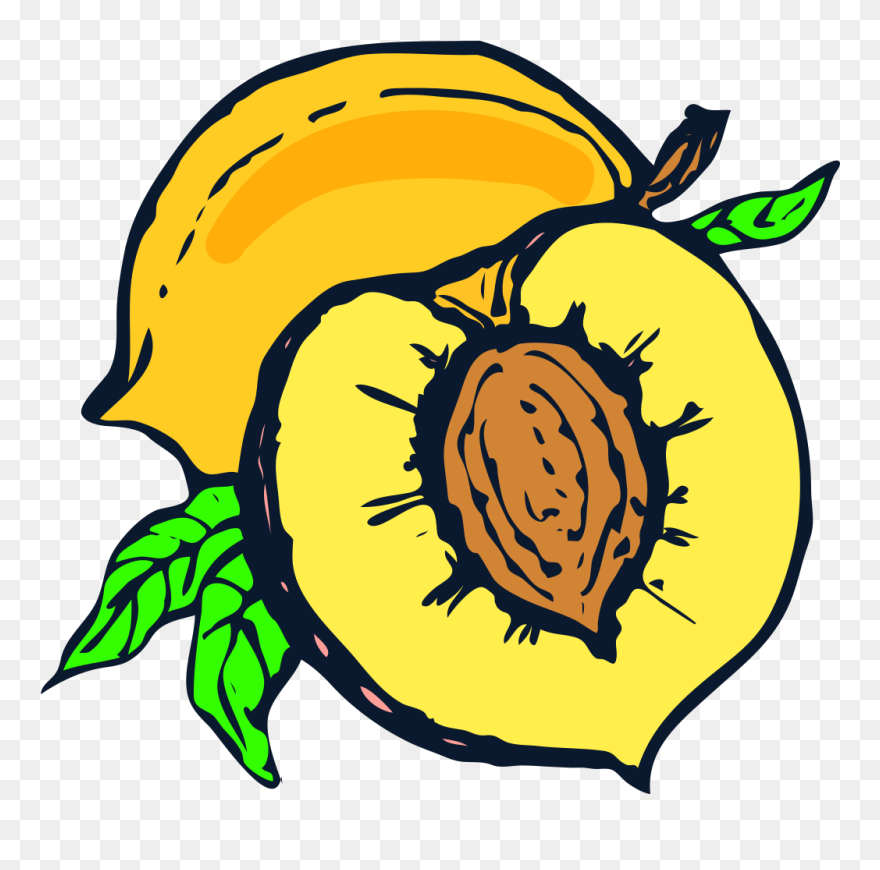 Peach Stronger Svg Clip Arts - Pit Clipart - Png Download