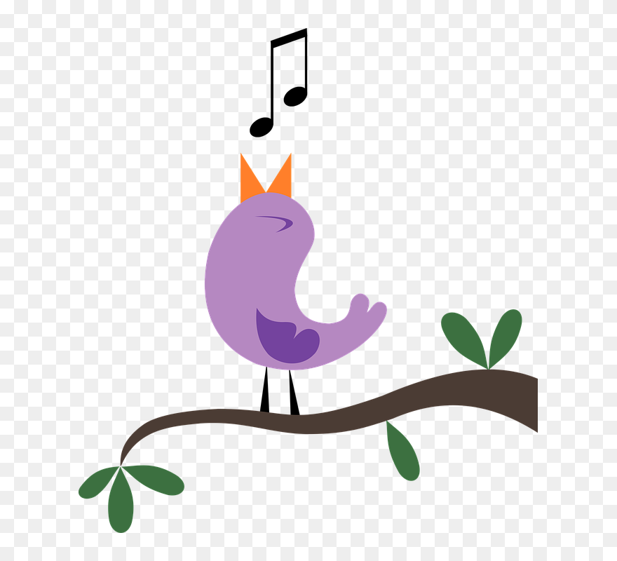 Songbird Clipart - Png Download