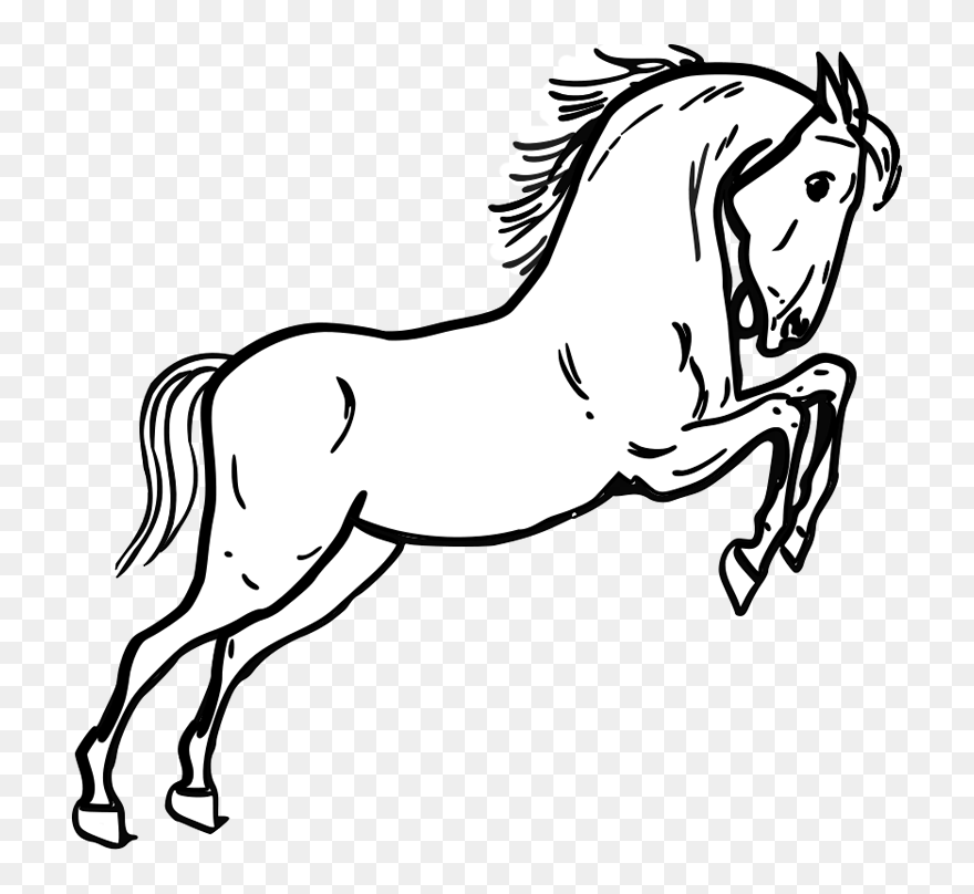 Jumping Horse Coloring Page - Mustang Horse Coloring Page Clipart