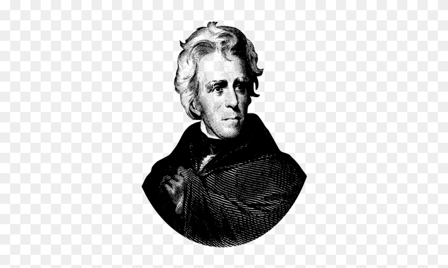 President Andrew Jackson Graphic Black And White Women"s - Andrew Jackson Black And White Clipart