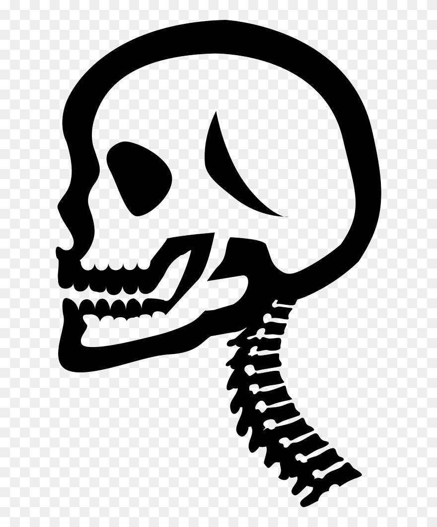Head And Neck - Neck Skull Black And White Icon Clipart