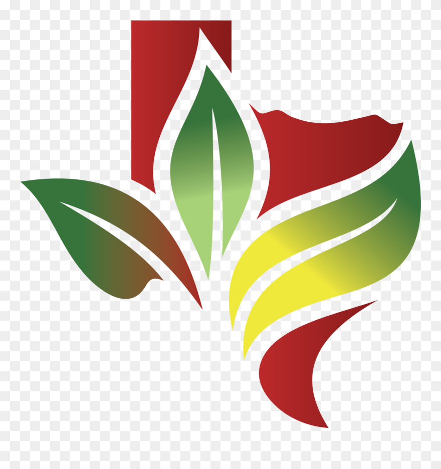 Illustration Clipart