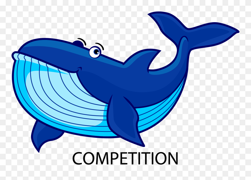 As A Whale Our Swimmers Are Working On Competition - Animales Mamiferos Acuaticos Animados Clipart