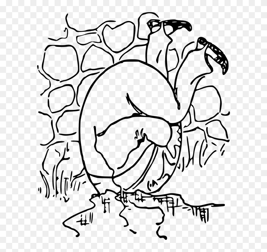 Humpty Dumpty Clipart Cracked, Picture - Humpty Dumpty Images Black And White - Png Download