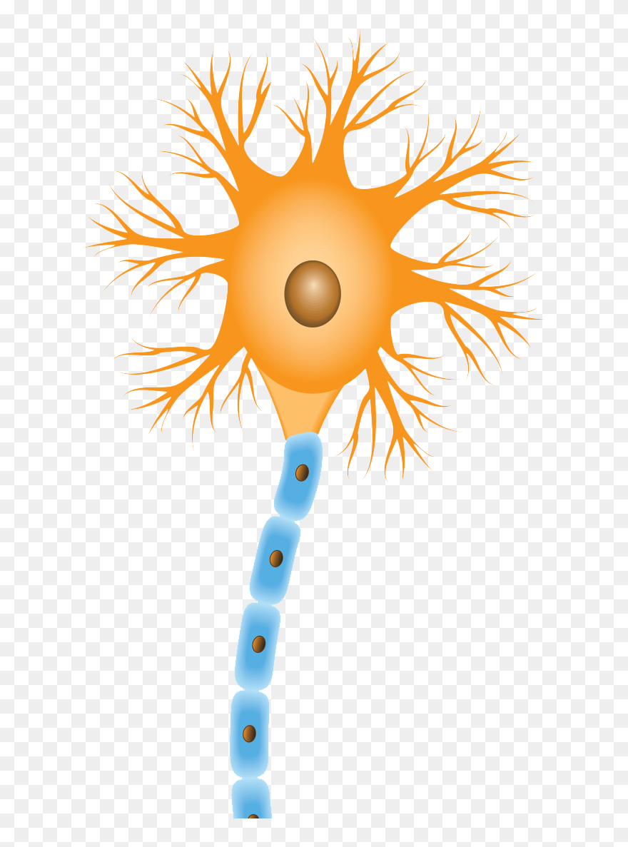 Clip Art - Png Download