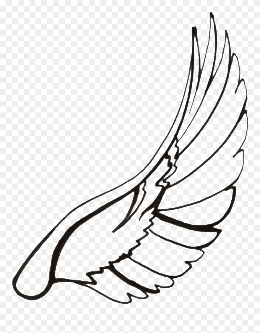 Wings Clipart Dove Wing - Bird Wings Drawing Transparent - Png Download