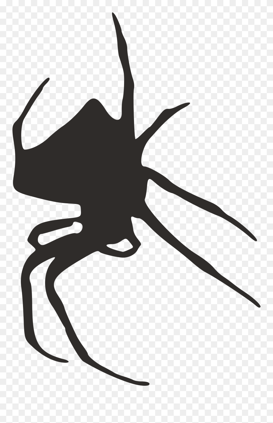 Spider Web Silhouette Clip Art - Spider Web - Png Download