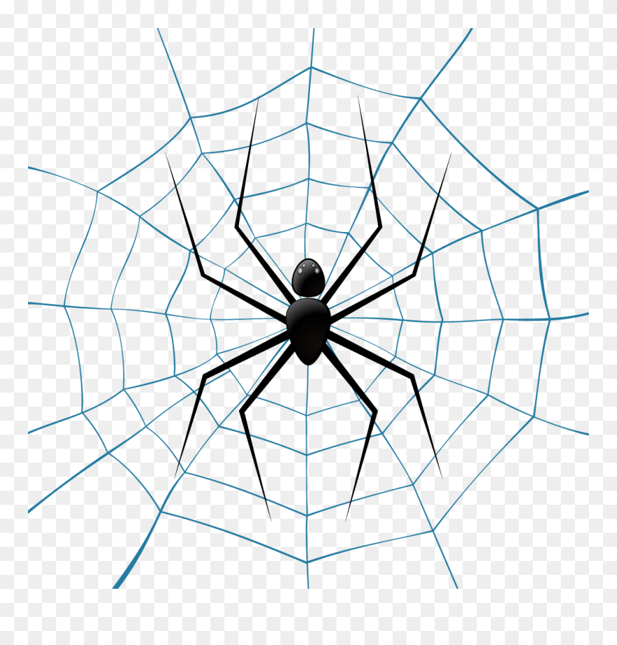 Spider Web Theridiidae Euclidean Vector Illustration - Vector Fondo Vector Telaraña Spiderman Clipart
