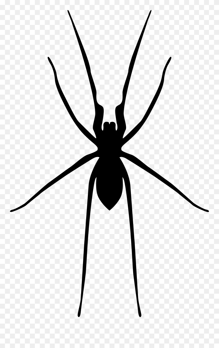 Spider Web Widow Spiders - Widow Spider Clipart