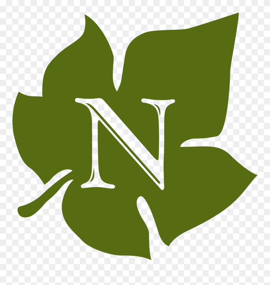 Transparent Kids Playing Kickball Clipart - Alpine Insurance Group Calgary Ab - Png Download