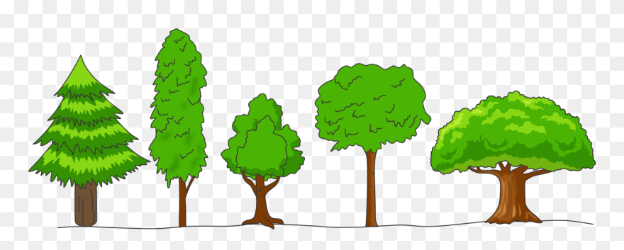 Crown Shapes Of Trees Clipart