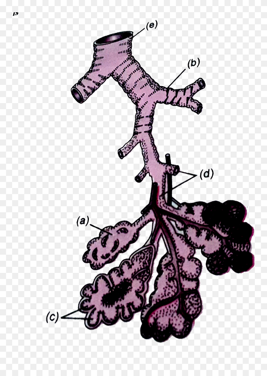 Illustration Clipart