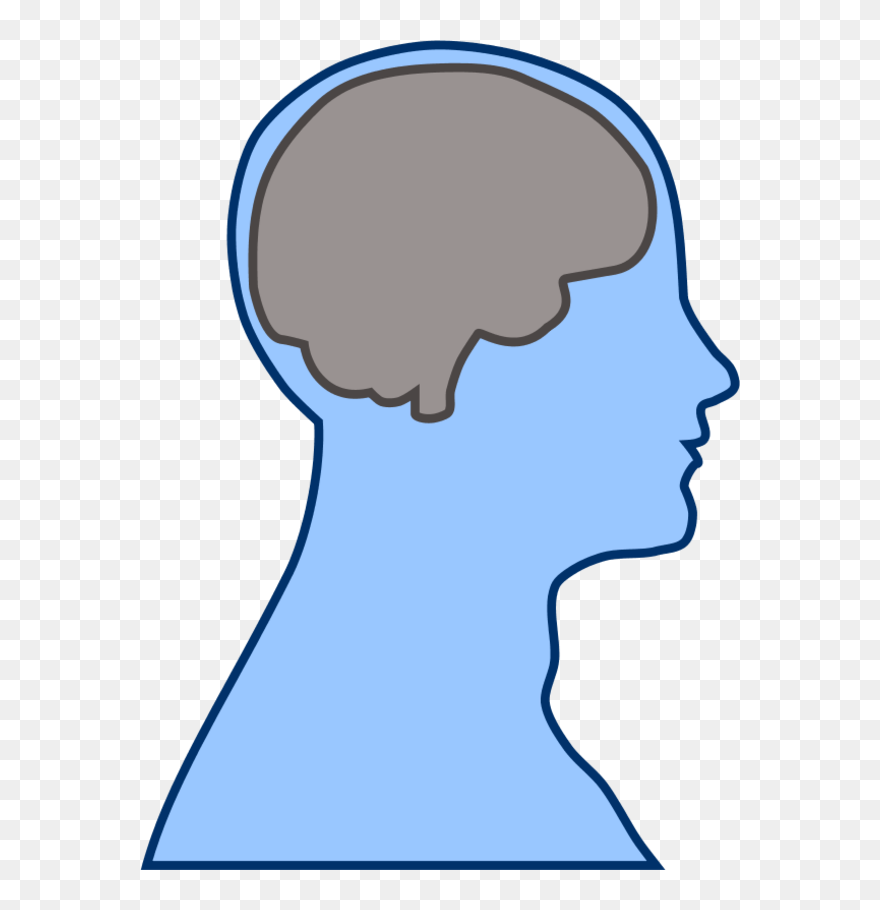 Cartoon Head And Brain Clipart