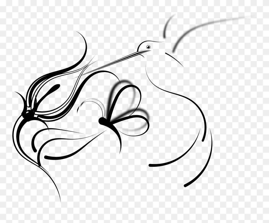 Clip Art Library Feeding Big Image Png - Humming Bird With Flowerd Drawing Transparent Png