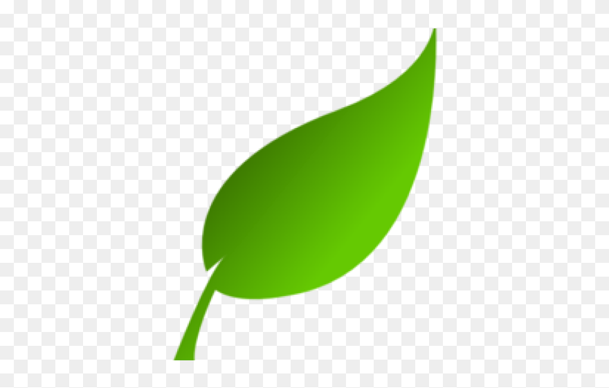 Green Leaf Clip Art - Png Download