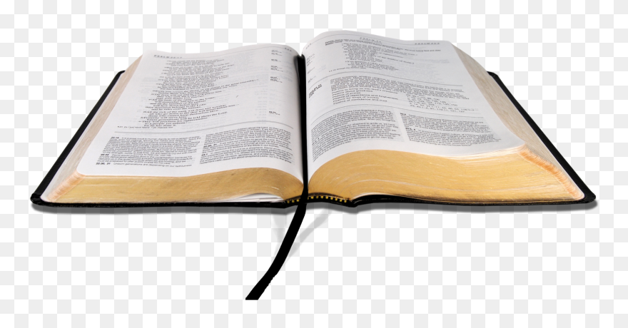 Ivy Clipart Open Bible - Bible Png Transparent Png