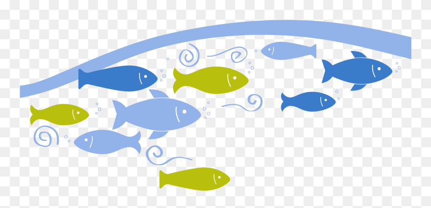 Fish - Fish Shoal Clipart - Png Download