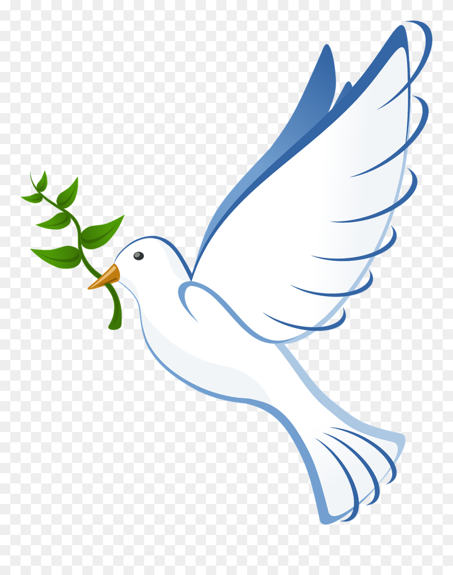 White Dove Clipart