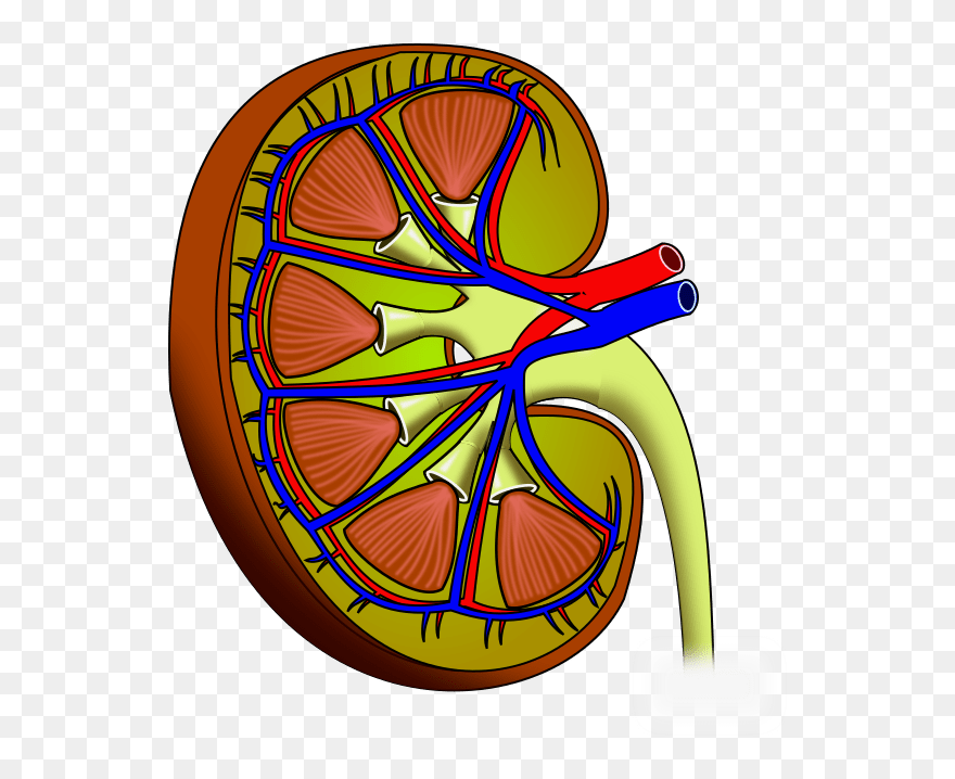 Post Was Made By Iphone Gang Clipart