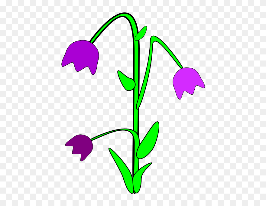Line Art,plant,flora - Purple Cartoon Flowers Png Clipart