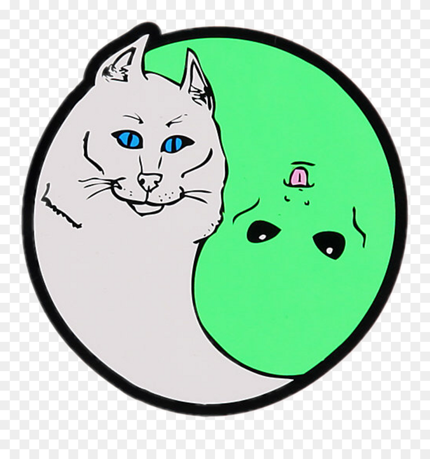 Transparent Cats Clipart Png - Rip N Dip Png