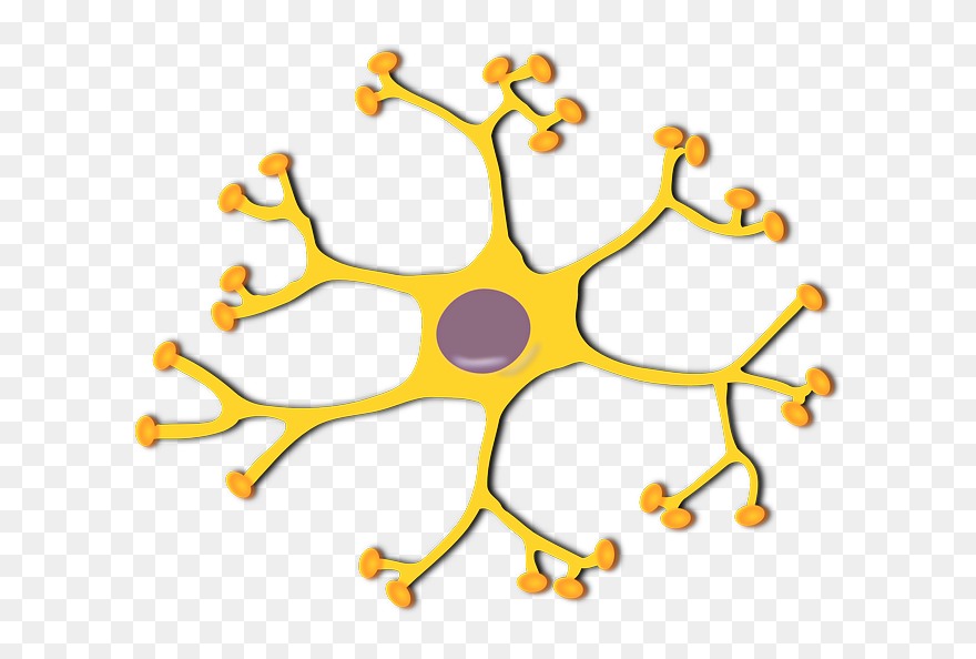 Brain Cells Clipart - Png Download