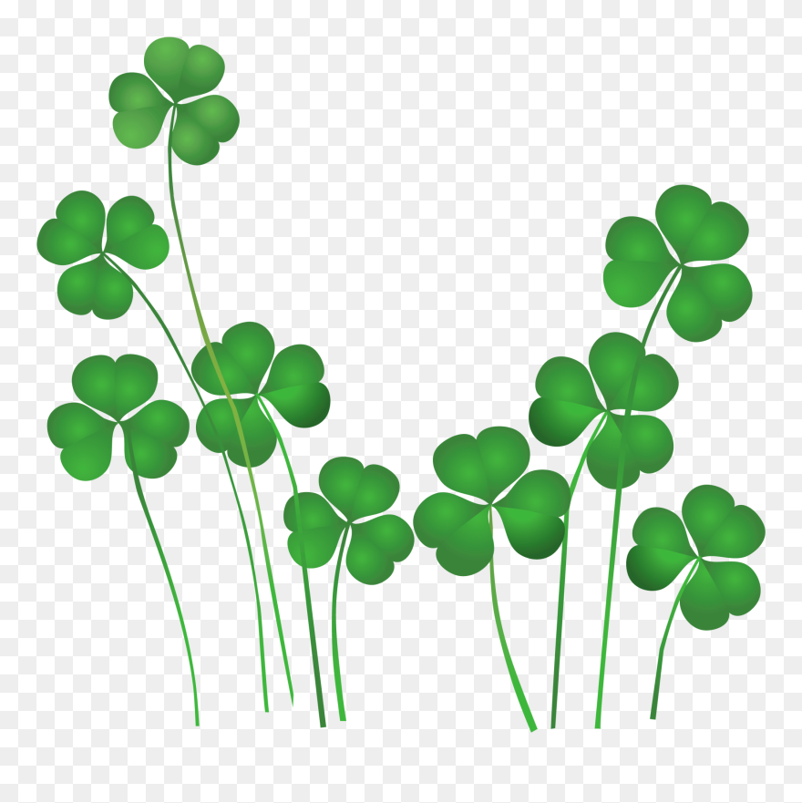Shamrock Clip Art Free - Png Download