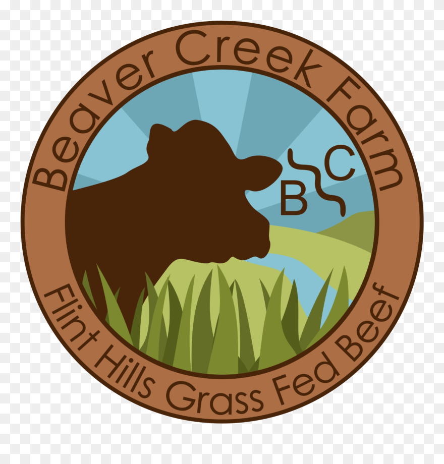 Cooking Tips Website Designed - T Rex Clipart