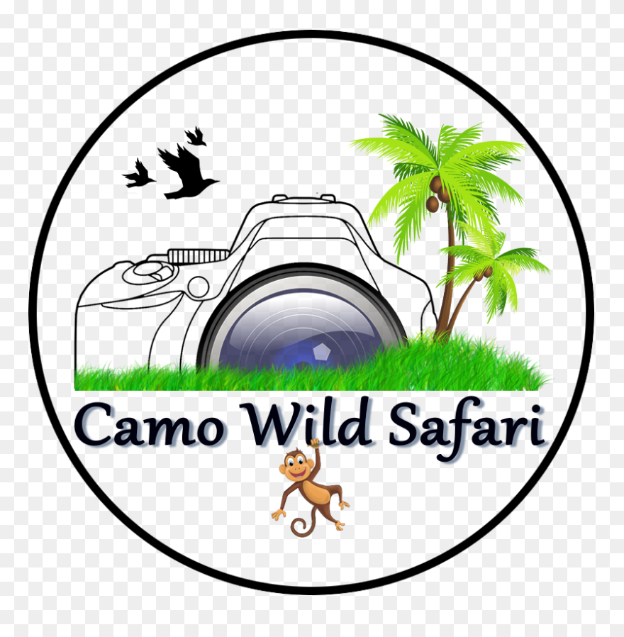 Camo Wild Safari Clipart