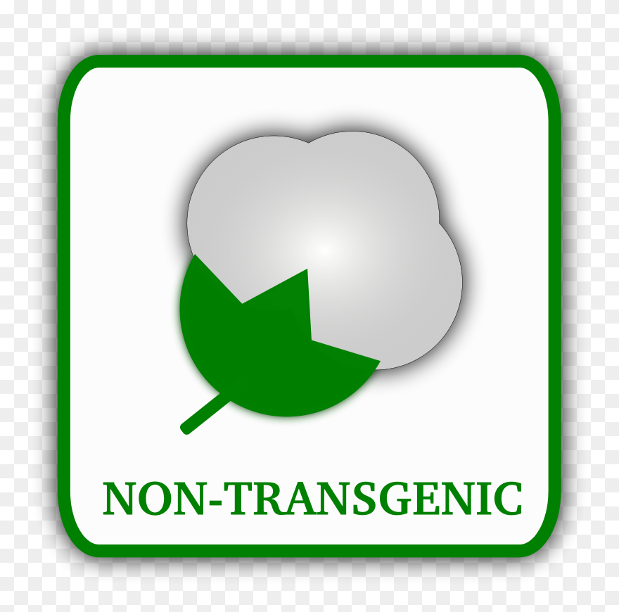 Biology Clip Art Download - Non Transgenic - Png Download