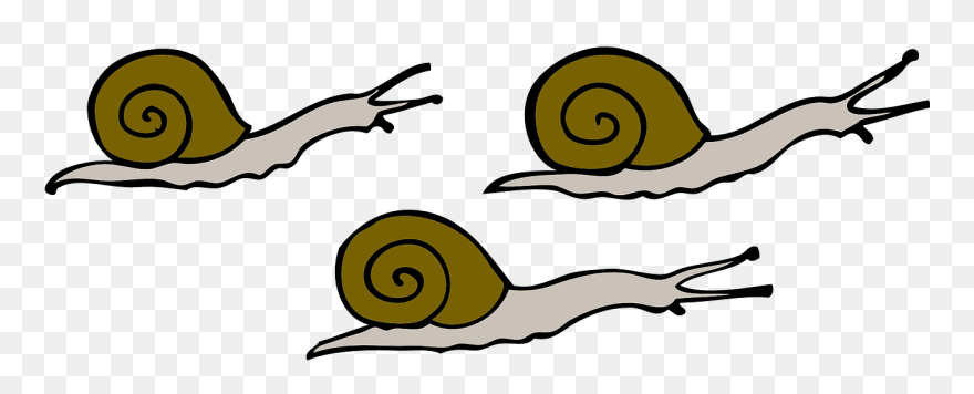 Transparent Slime Clipart - Snails Clip Art - Png Download