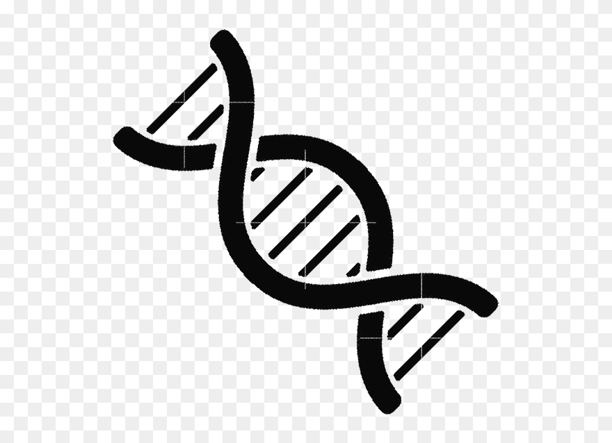 Genetics Black And White Clipart