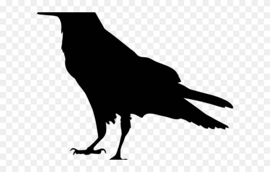 Mockingbird Clipart Halloween Raven Raven Silhouette - Raven Clipart - Png Download